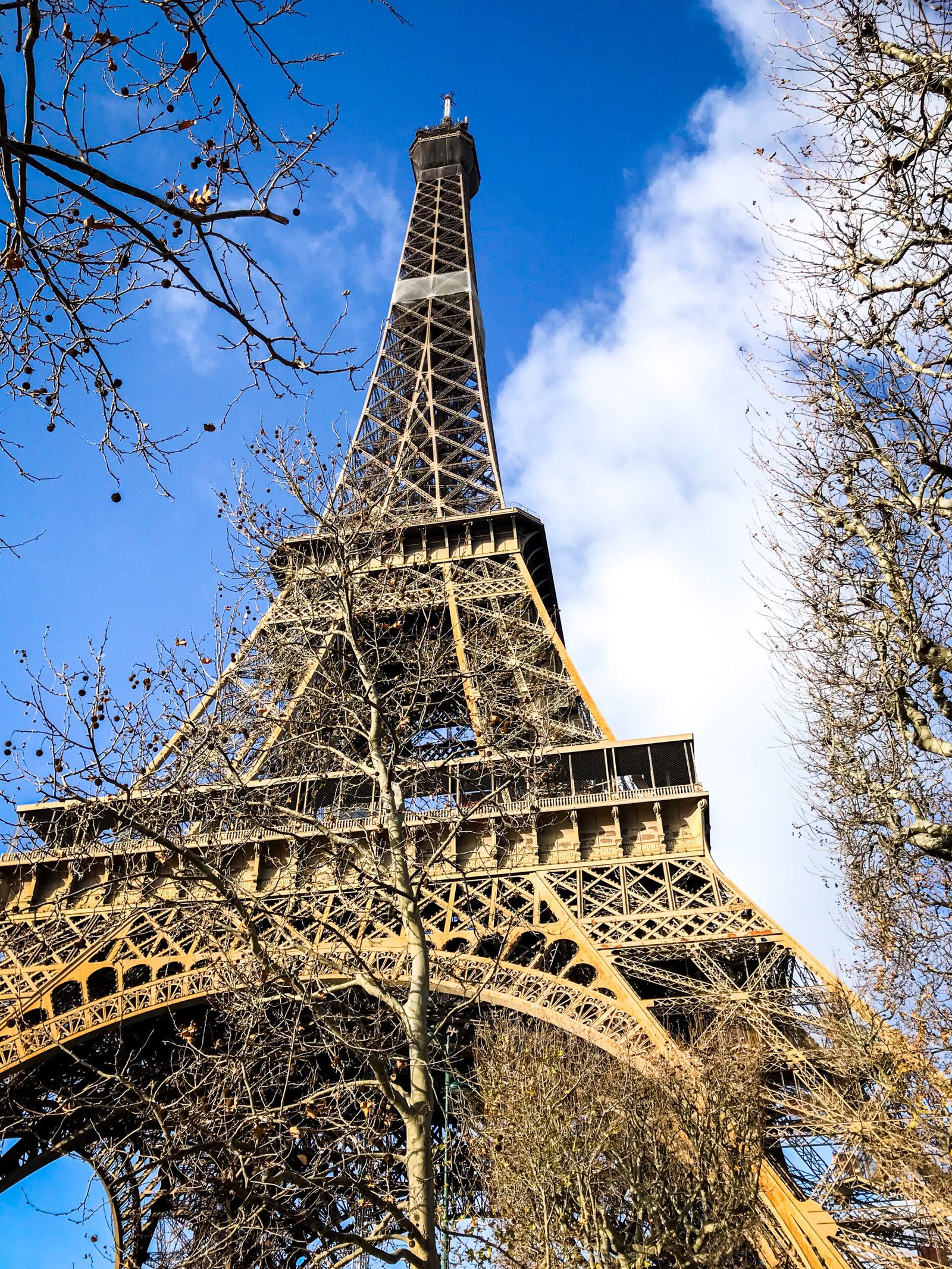 Eiffel Tower in winter time
traveler insights
views of Paris
things to see in Paris
